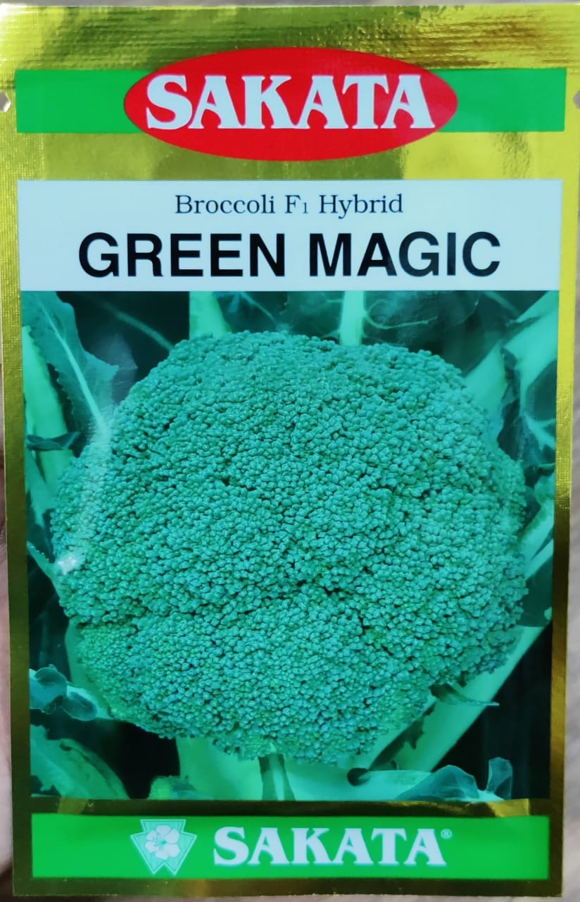 Broccoli Green Magic (Sakata Seeds)