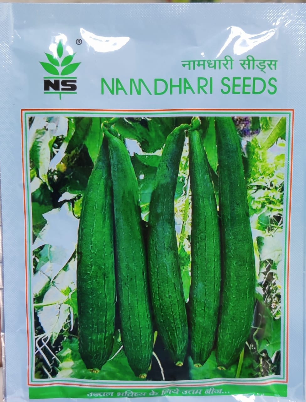 Sponge Gourd NS 441 (Namdhari Seeds)