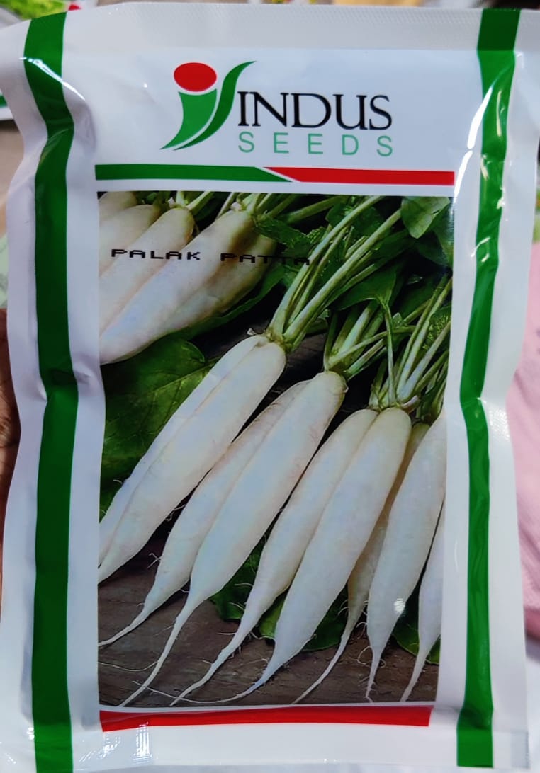 Radish Palak Patta (Indus Seeds)