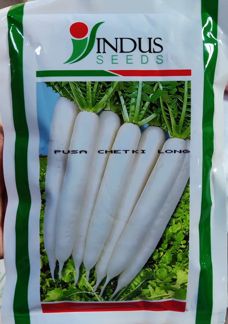 Radish Pusa Chetki Long (Indus Seeds)