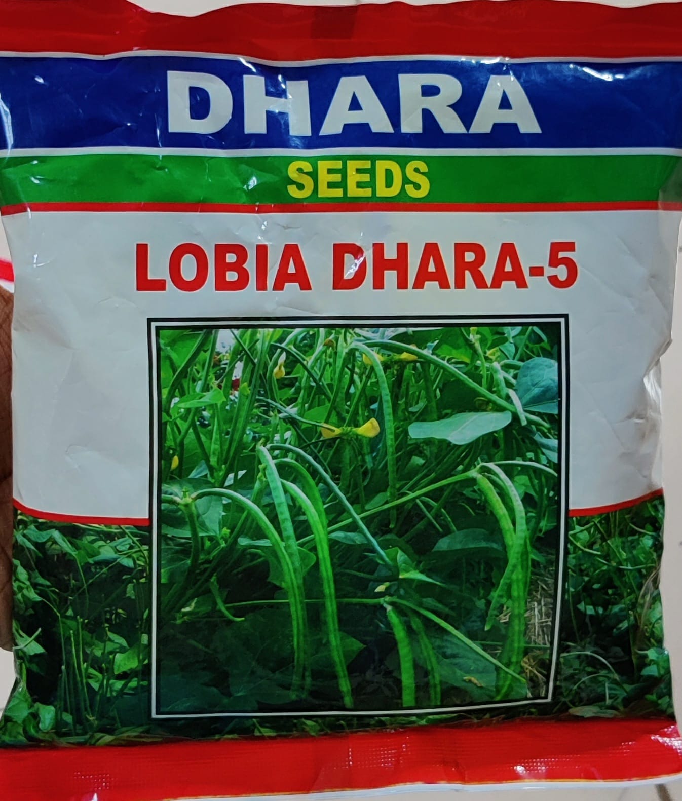 Cowpea Dhara 5 (Dhara Seeds)