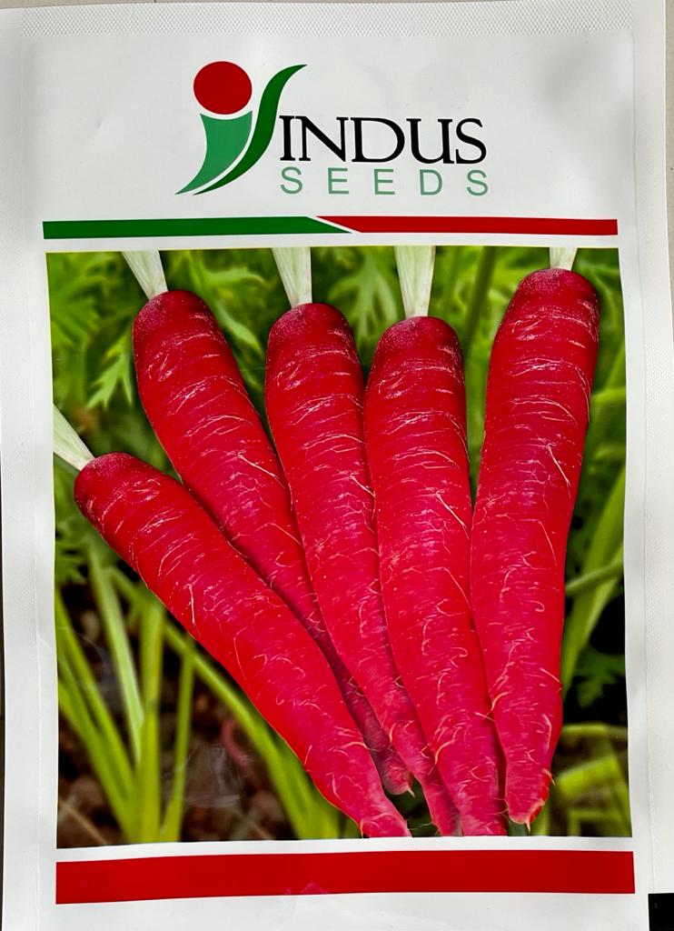 Carrot Desi Red (Indus Seeds)