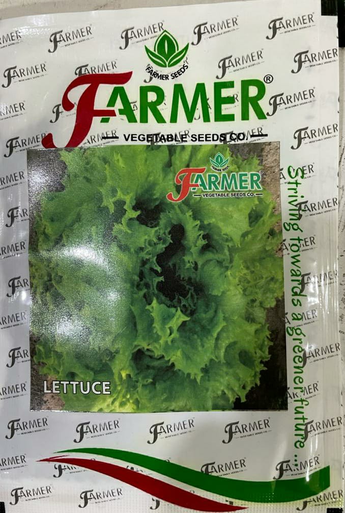 Lettuce Grand Rapid (Farmer Vegetables Seeds)