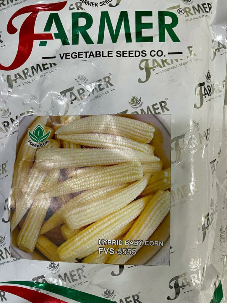 Baby Corn FVS 5555 (Farmer Vegetables Seeds)