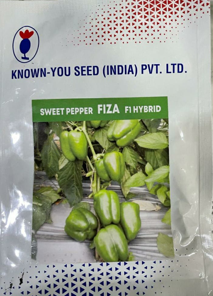 Sweet Pepper Fiza (Known You Seed)