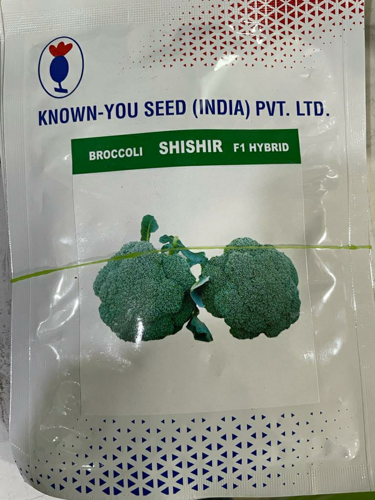 Broccoli Shishir (Known You Seed)