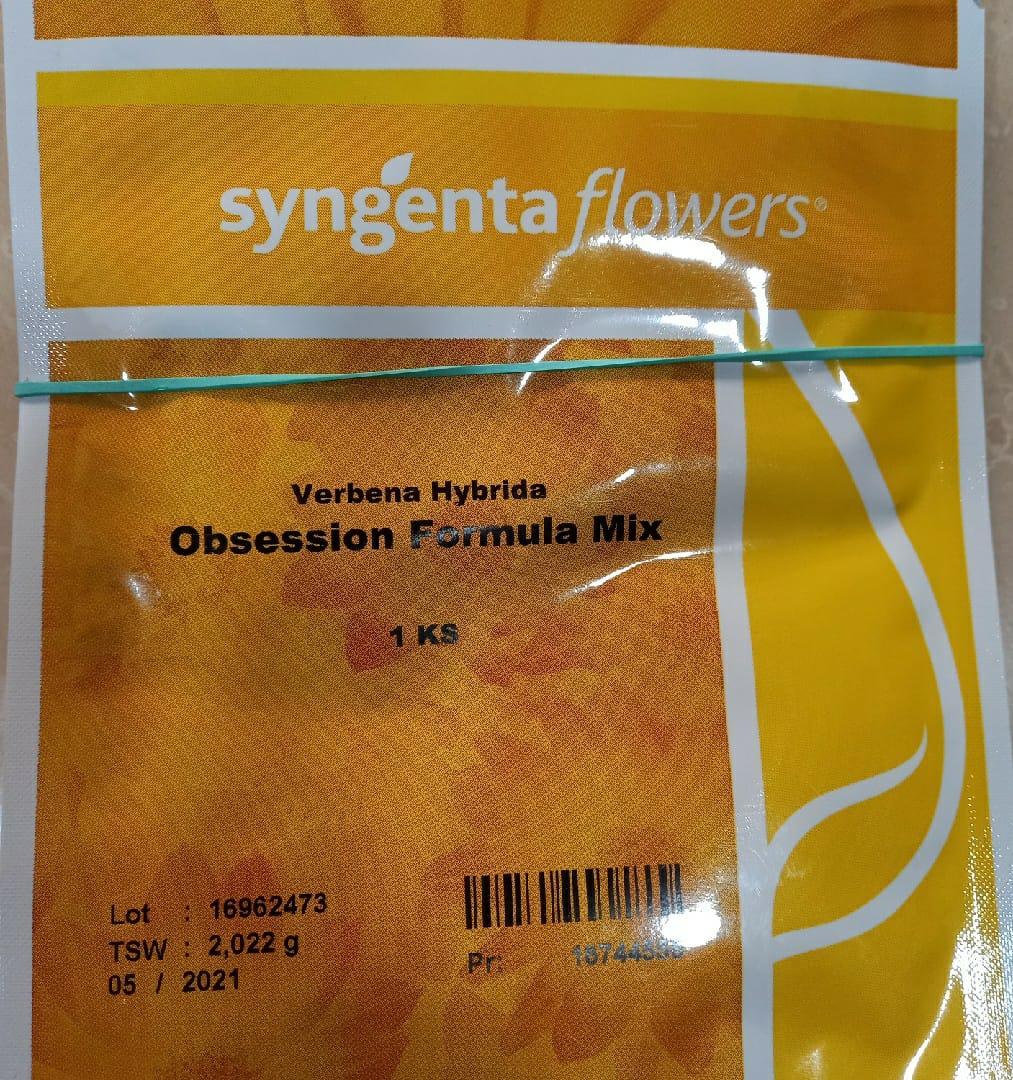 Verbana Obsession Formula Mix(Syngenta Seeds)
