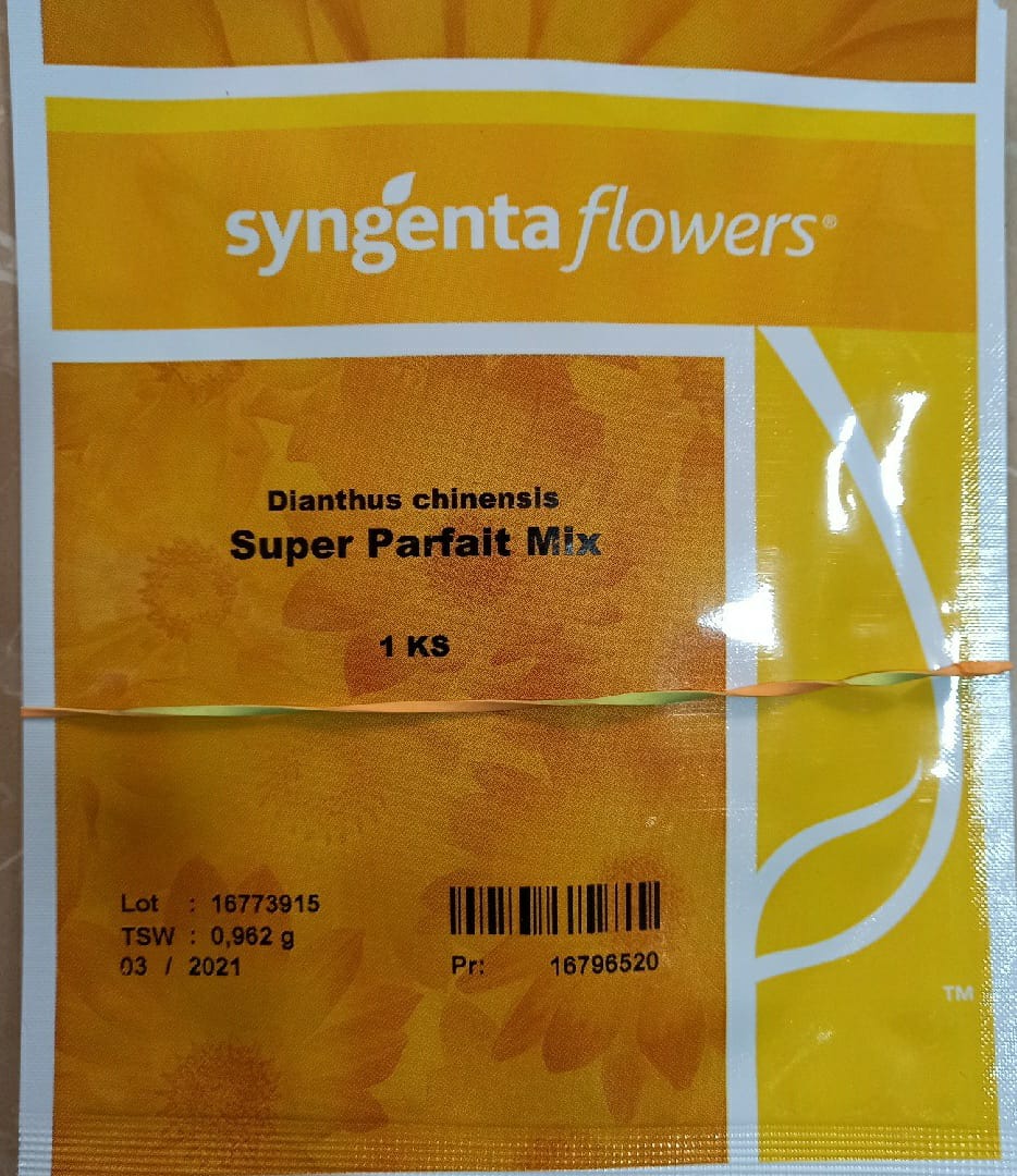 Dianthus  Super Parfait Mix(Syngenta Seeds)