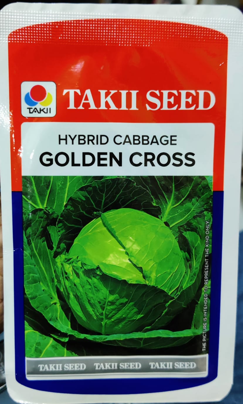 Cabbage Golden Cross (Takii Seed)