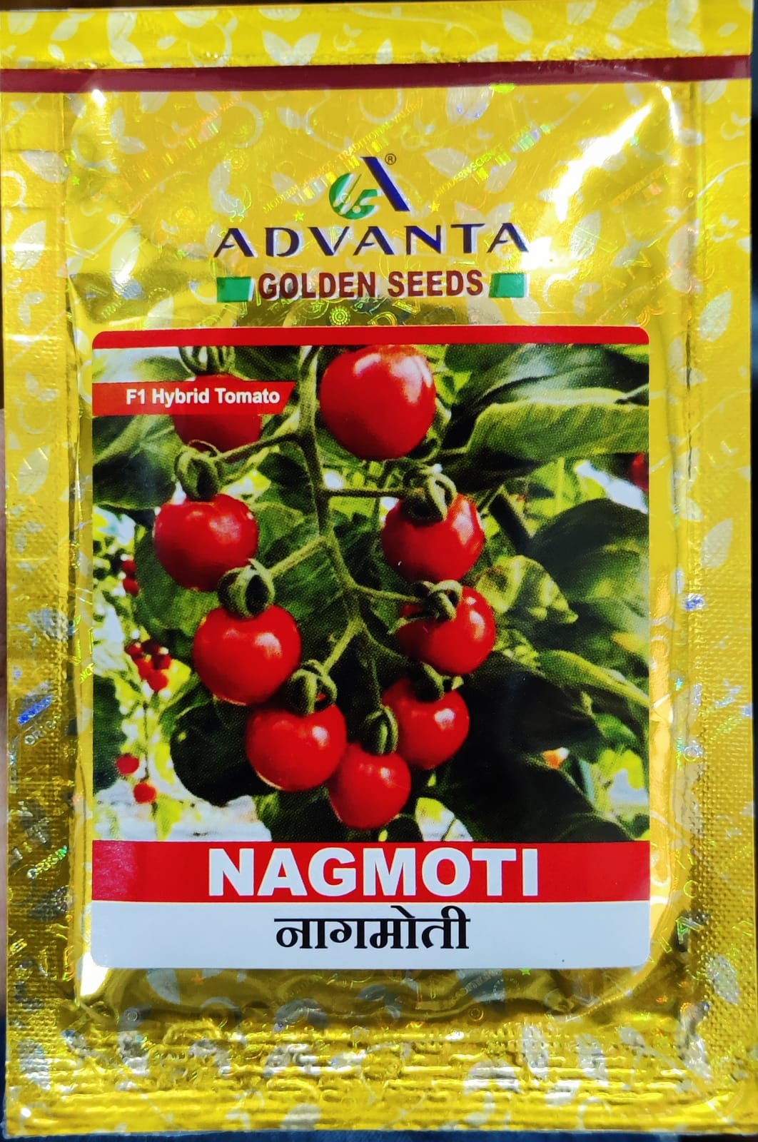 Tomato Nagmoti (Advanta Golden Seeds)
