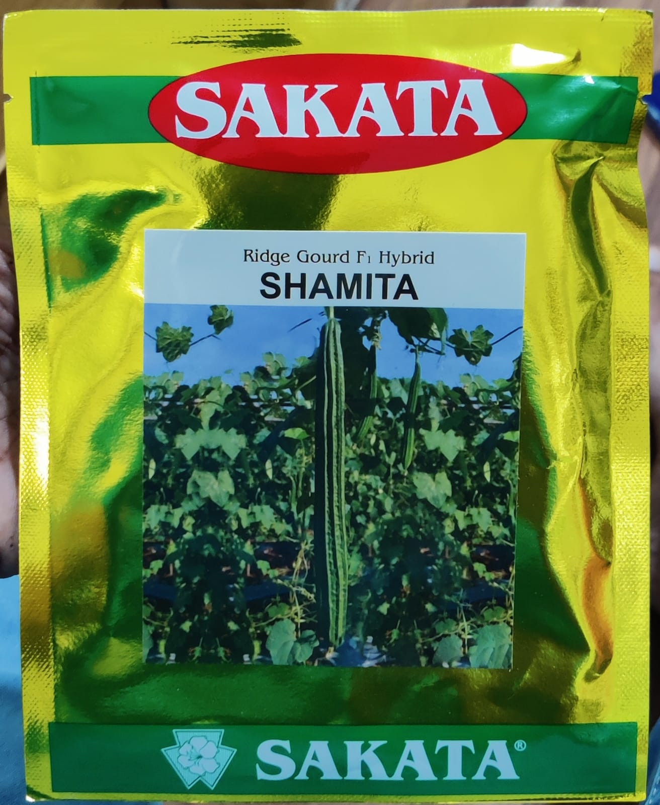 Ridge Gourd Shamita (Sakata Seeds)