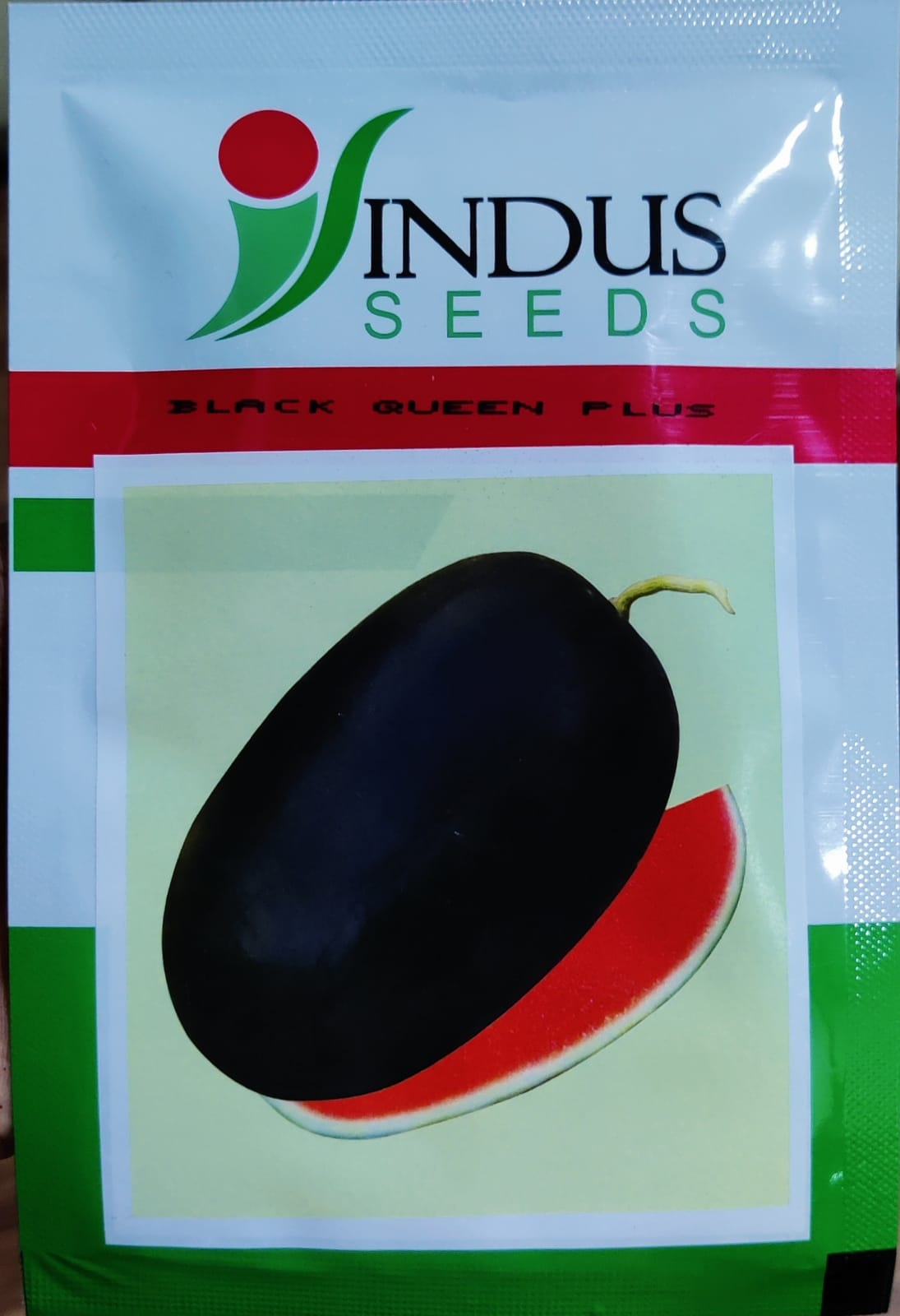 Watermelon Black Queen Plus (Indus Seeds)