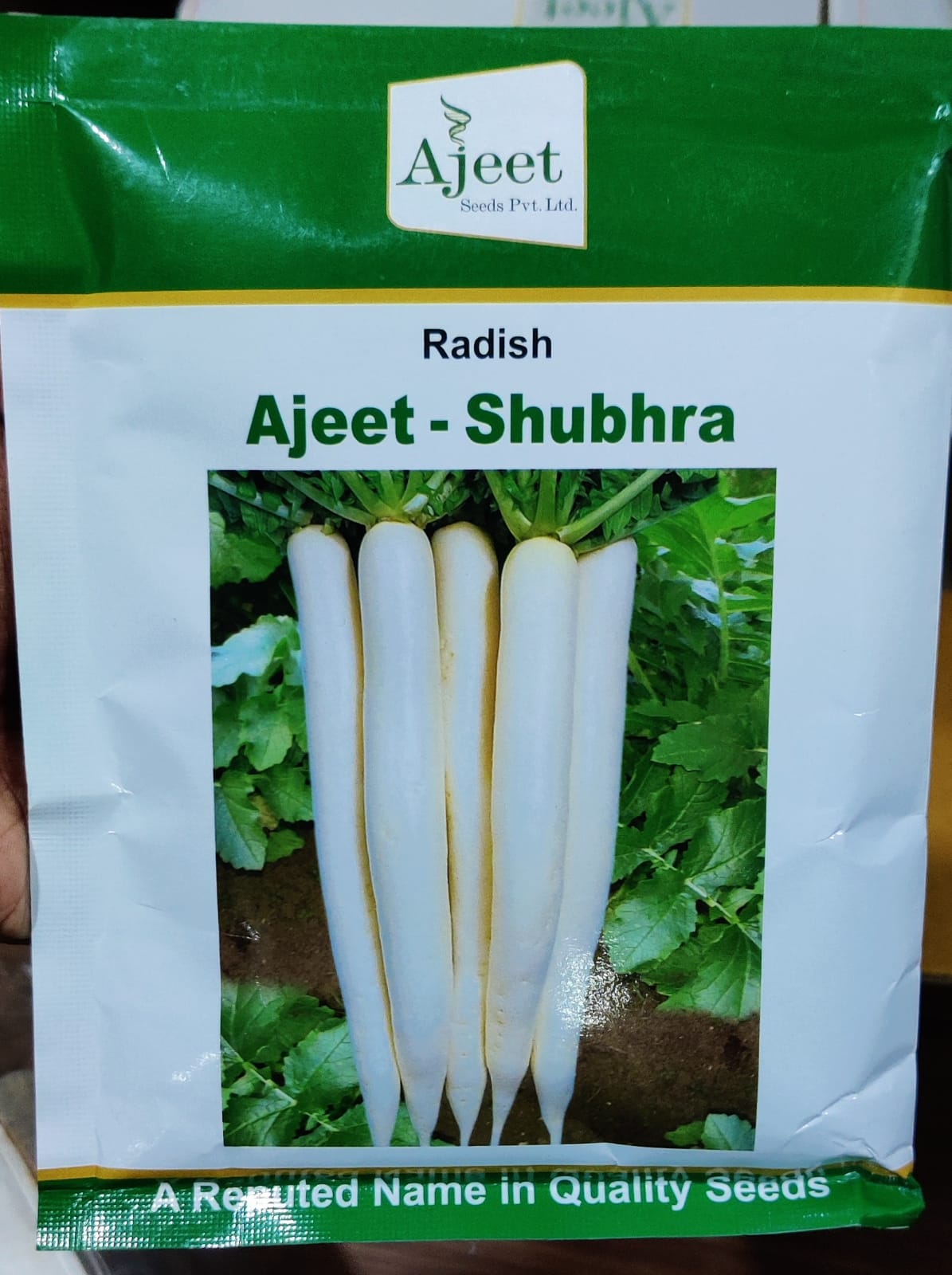 Radish Shubhra (Ajeet Seeds)