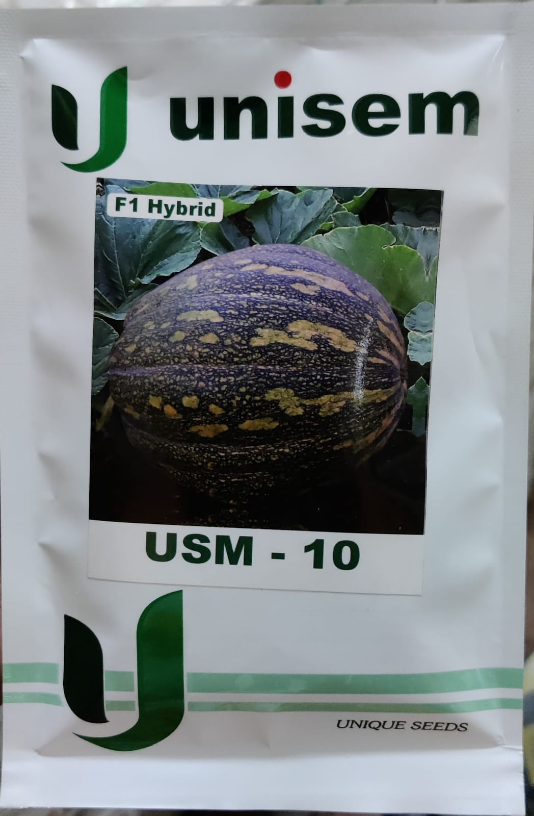 Pumpkin USM 10 (Unisem Seeds)