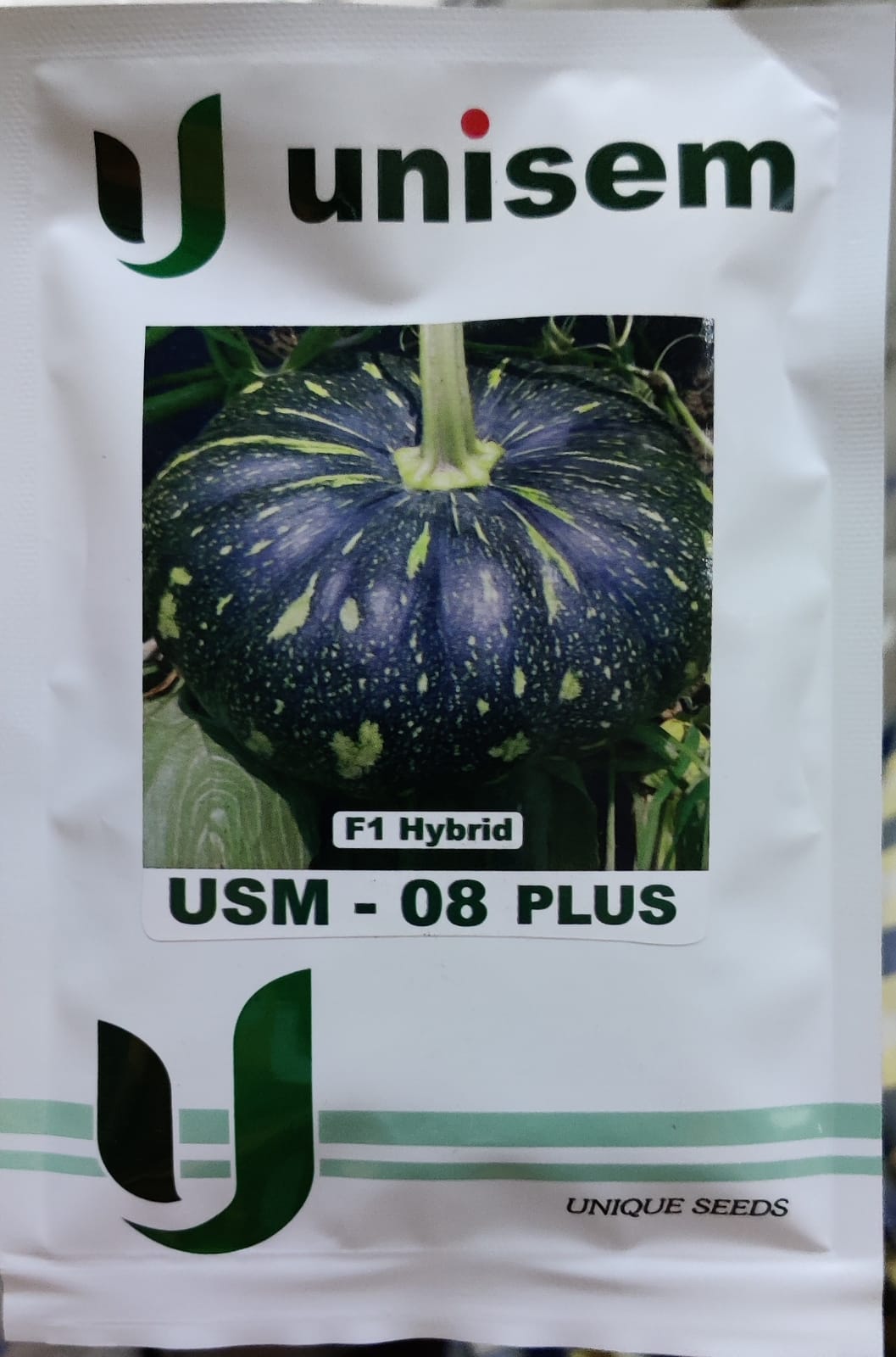 Pumpkin USM 08 Plus (Unisem Seeds)