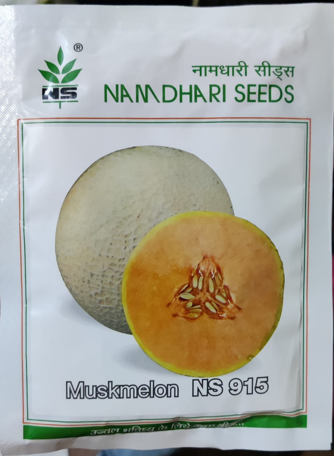 Muskmelon NS 915 (Namdhari Seeds)