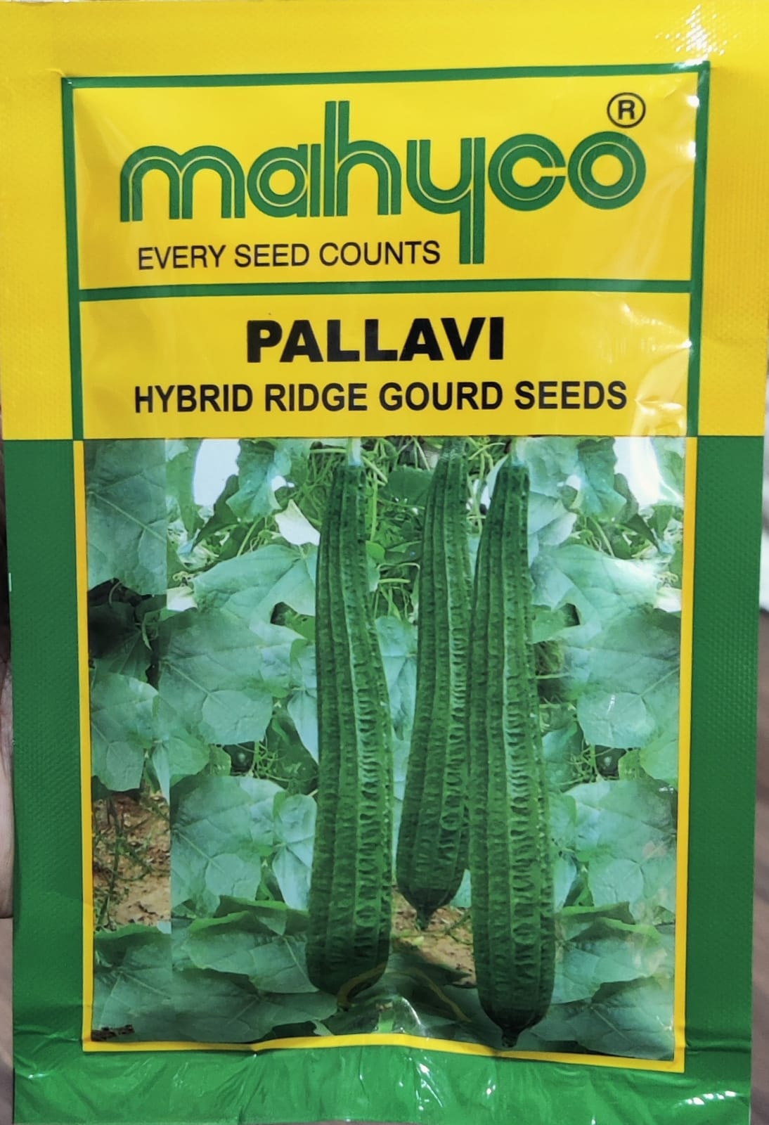 Ridge Gourd Pallavi (Mahyco Seeds)