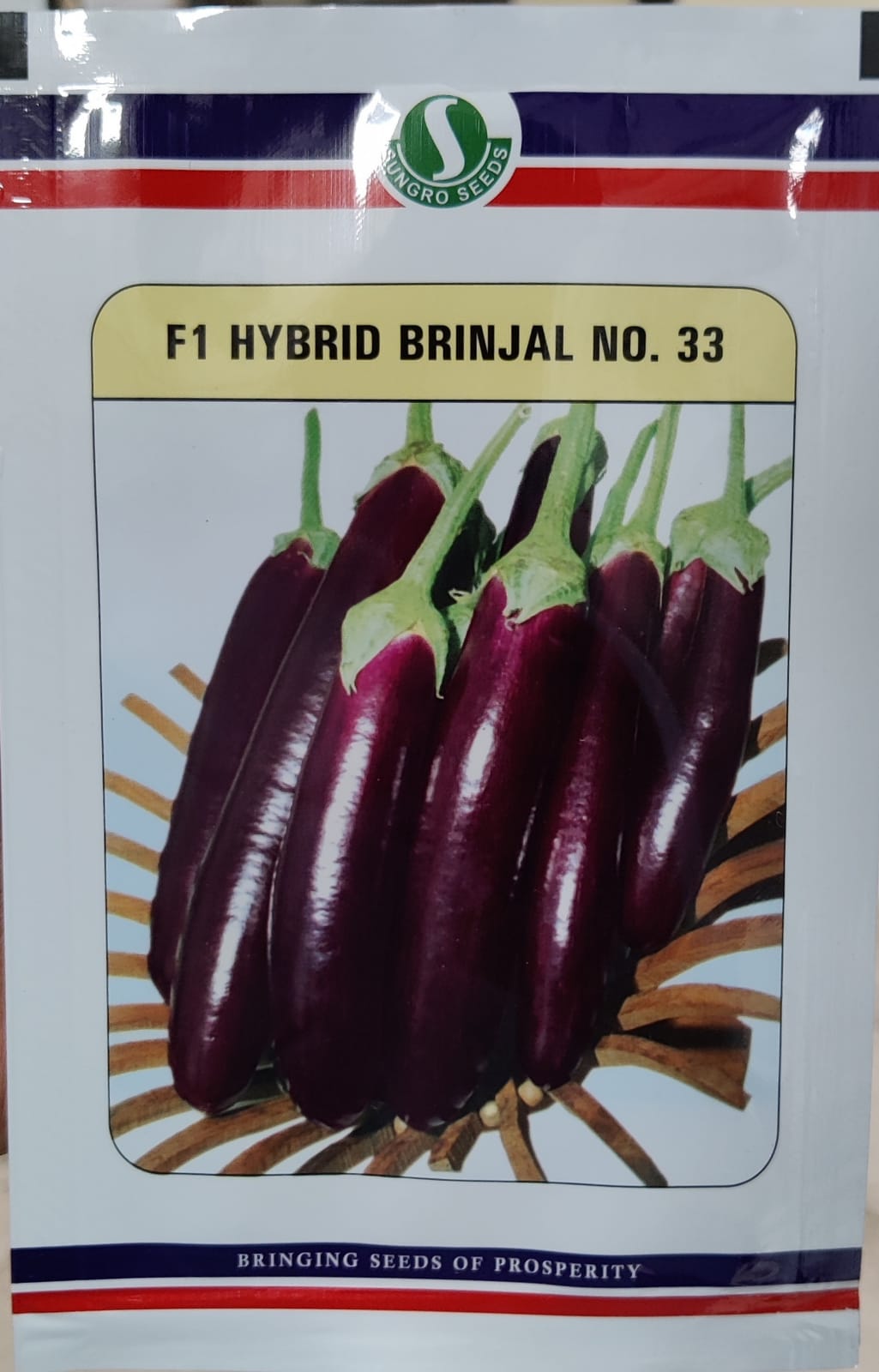 Brinjal No.33 (Sungro Seeds)