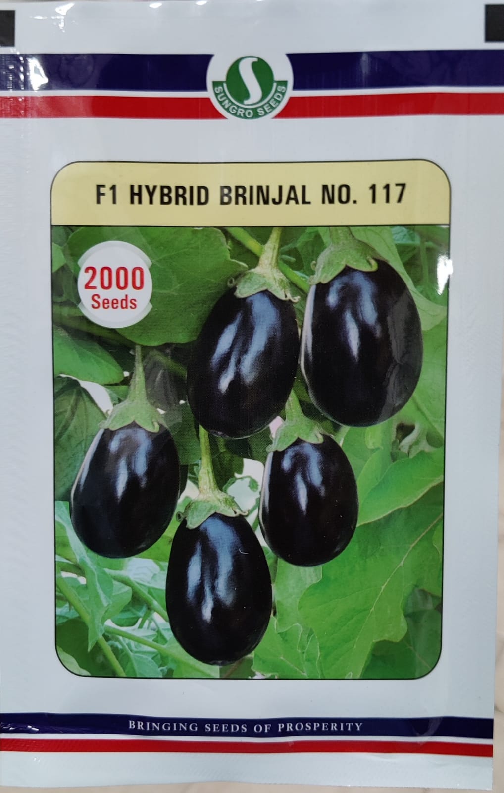 Brinjal No.117 (Sungro Seeds)