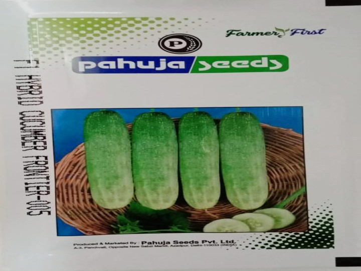 Cucumber Frontier-005 (Pahuja Seeds)