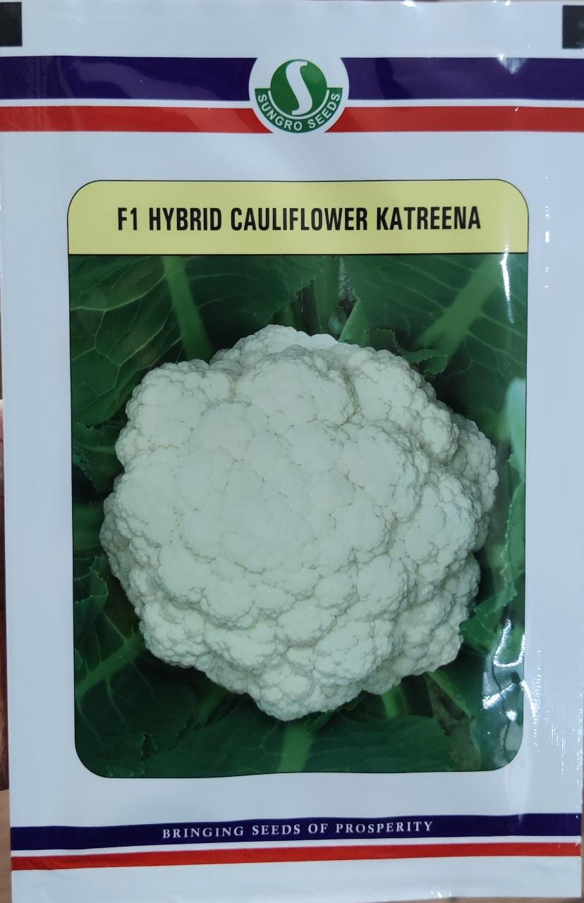 Cauliflower Katreena (Sungro Seeds)