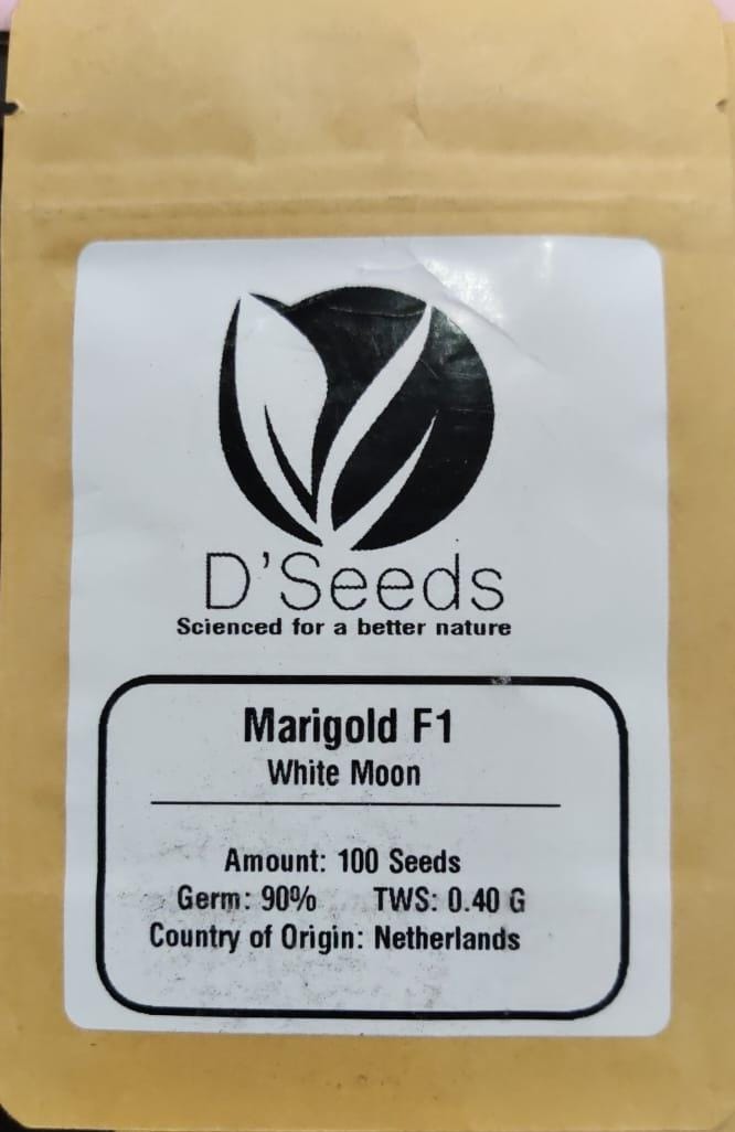 Marigold White Moon (D's Seeds)