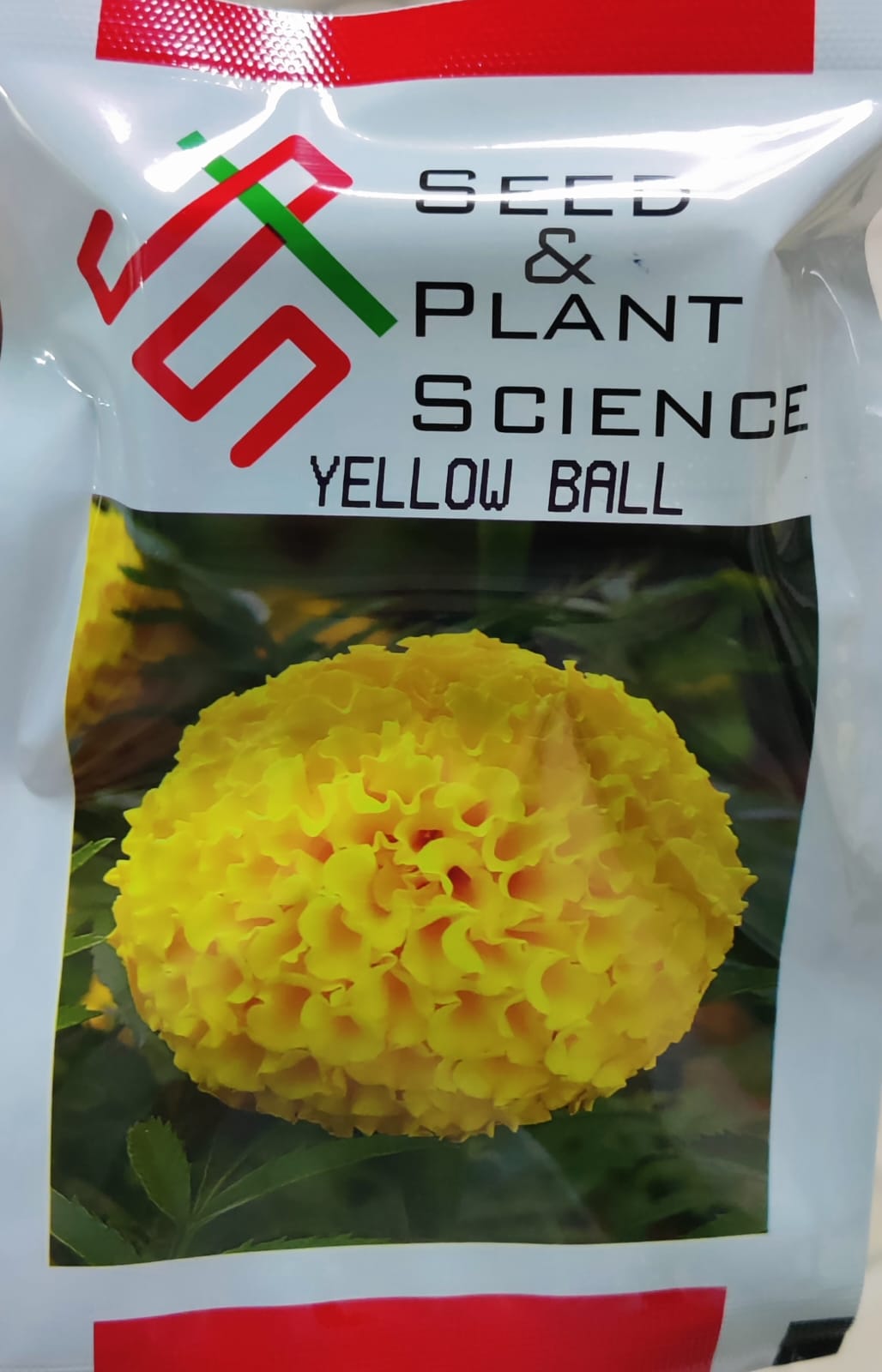 Marigold Yellow Ball(SPS)
