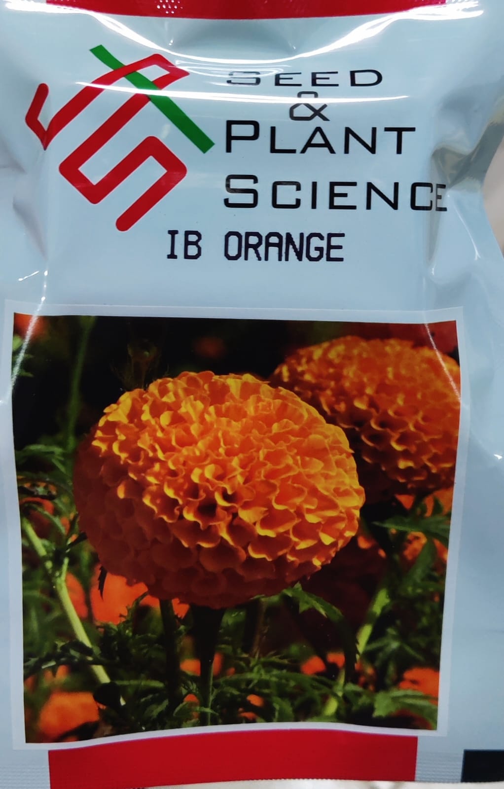Marigold IB Orange (SPS)