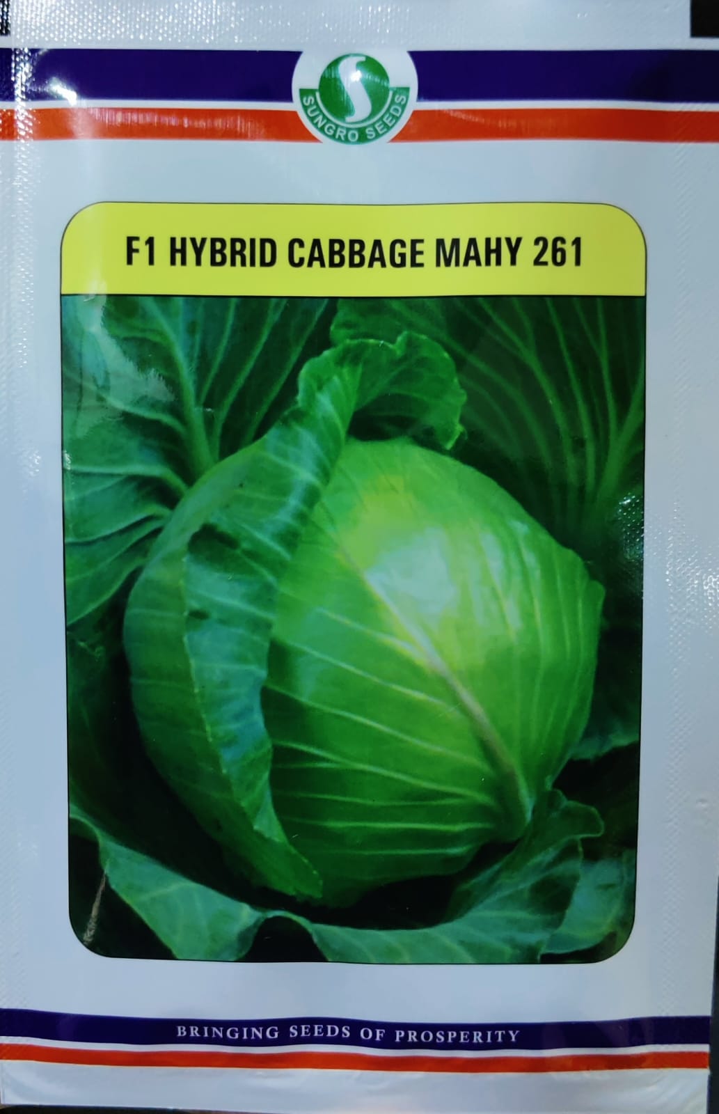 Cabbage Mahy 261 (Sungro Seeds)