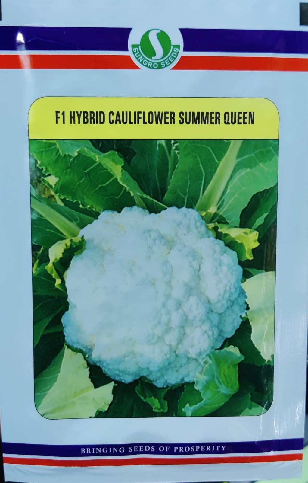 Cauliflower Summer Queen (Sungro Seeds)