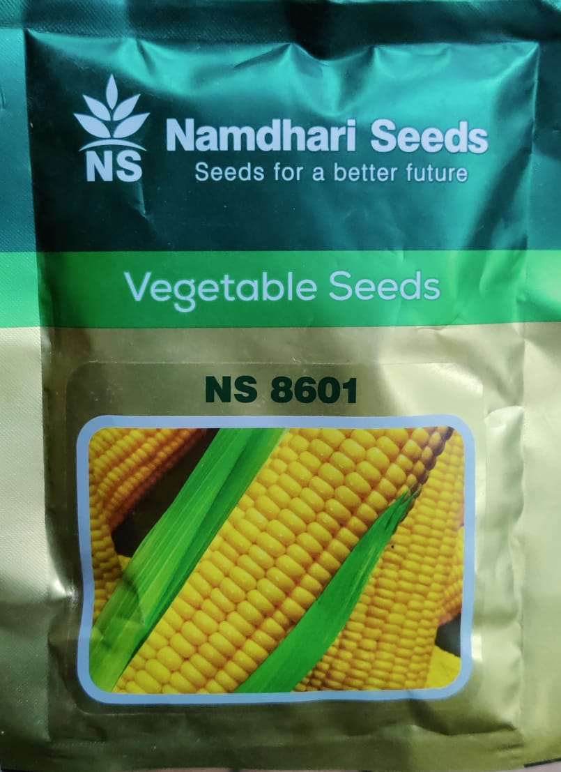 Sweet Corn NS 8601 (Namdhari Seeds)