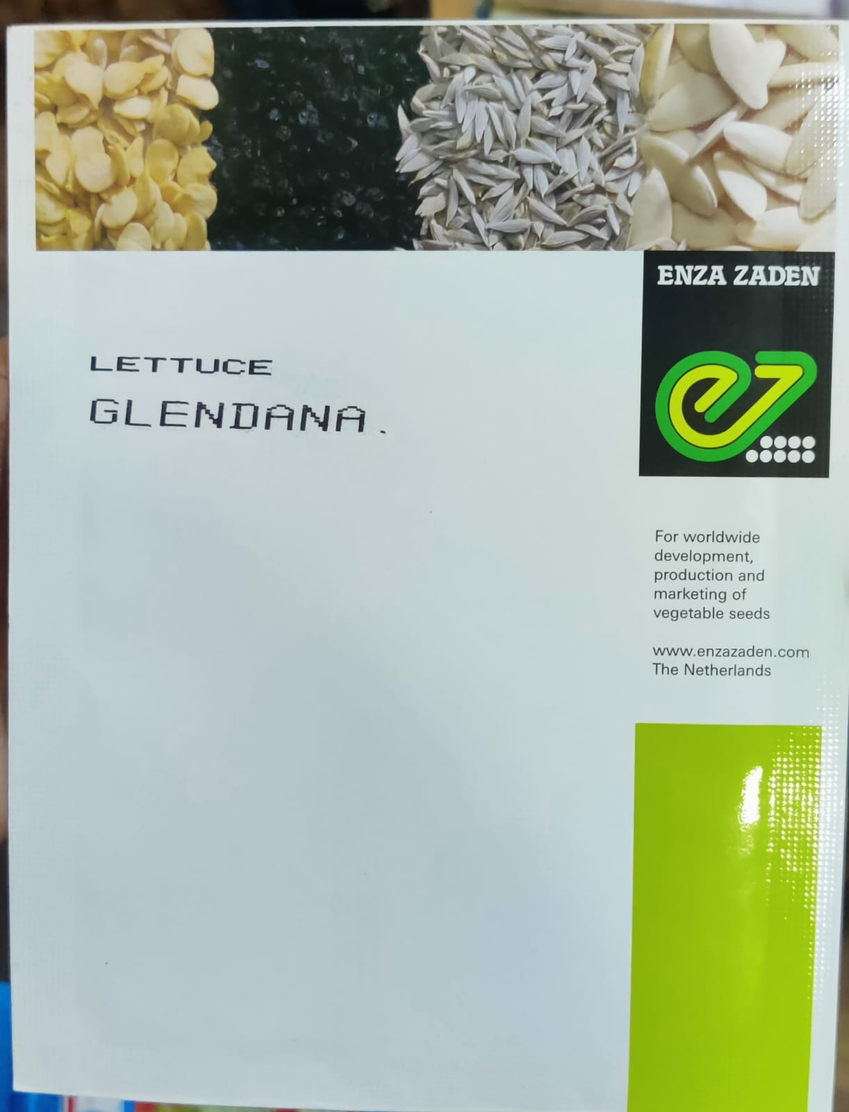 Lettuce Glendana (Enza Zaden)