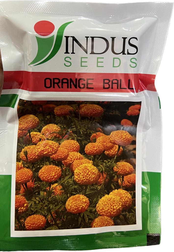 Marigold Orange Ball ( Indus Seeds)