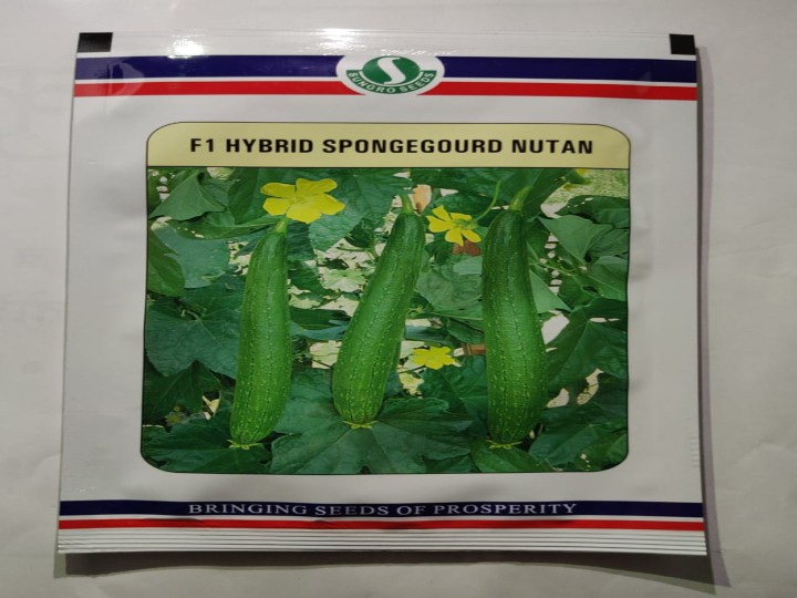 Sponge Gourd Nutan (Sungro Seeds)