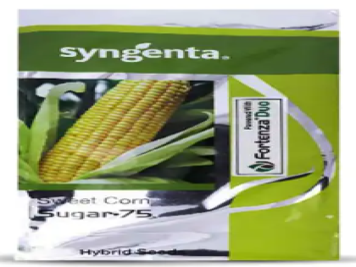 Sweet Corn Sugar-75 (Syngenta Seeds)