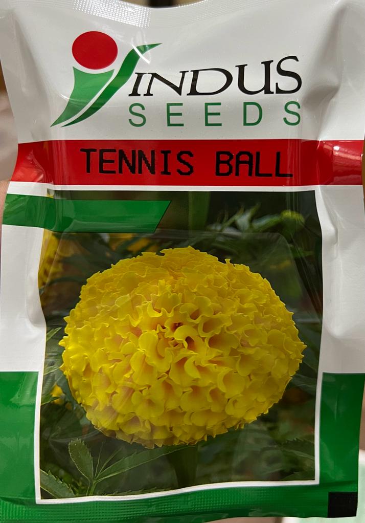 Marigold Tennis Ball (Indus Seeds)