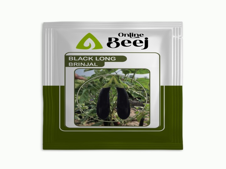 Brinjal Black Long (Online Beej)