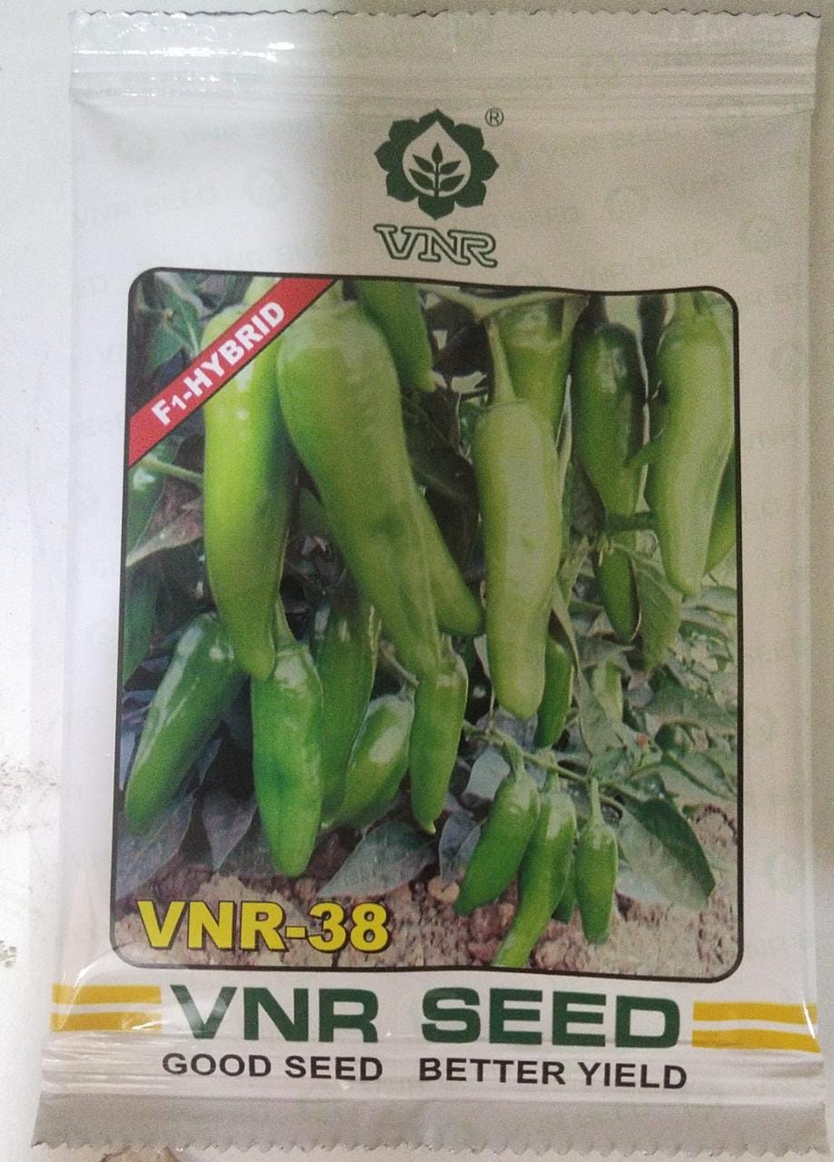 Chilli VNR-38 (VNR Seeds)