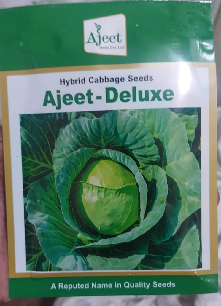 Cabbage Deluxe (Ajeet Seeds)