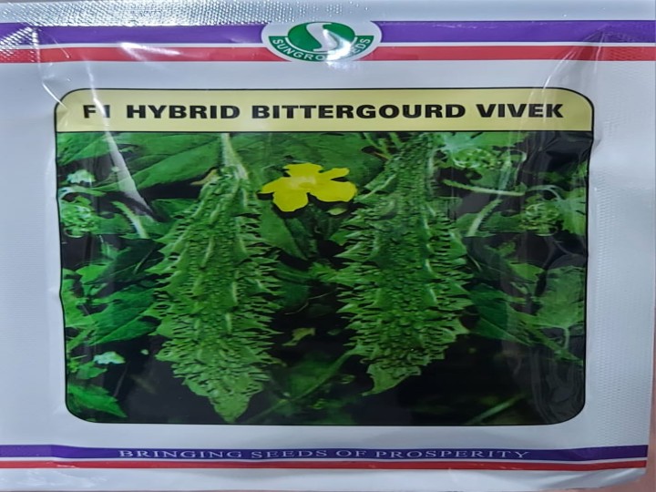 BItter Gourd Vivek (Sungro Seeds)