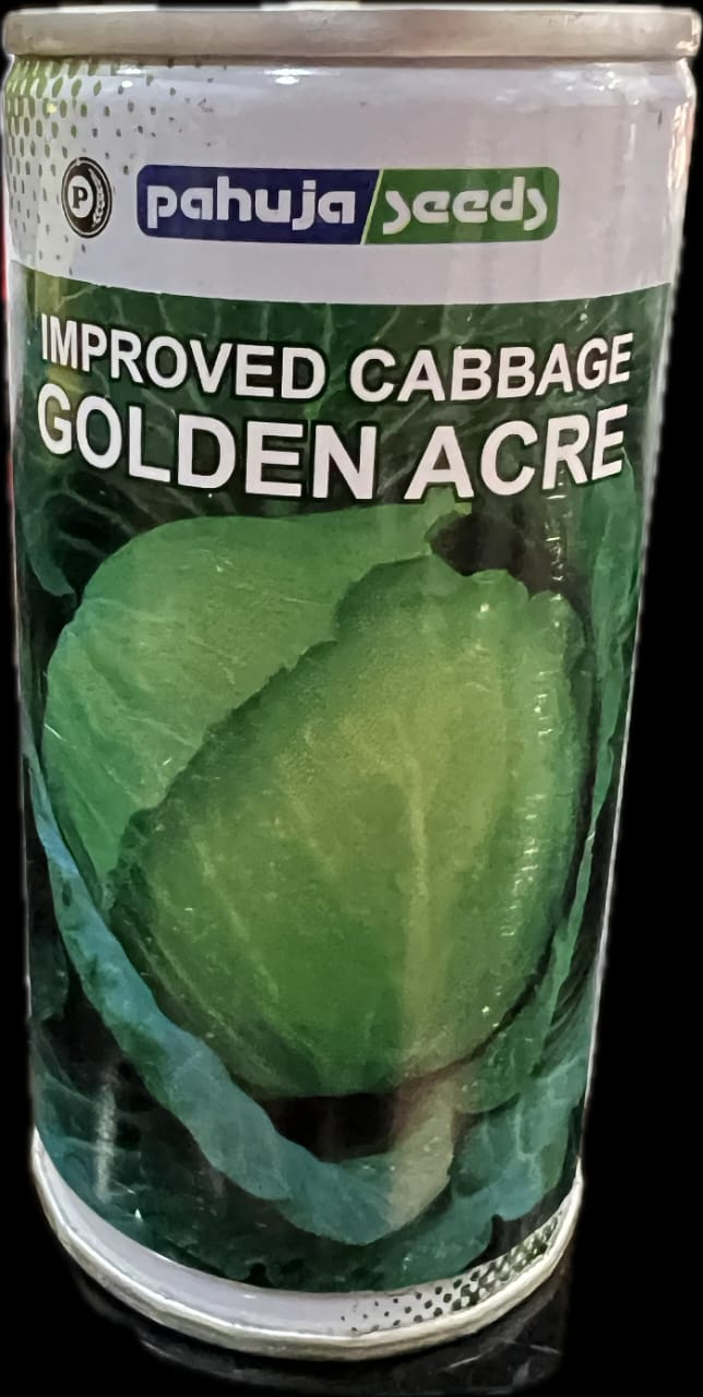 Cabbage Improved Golden Acre (Pahuja Seeds)