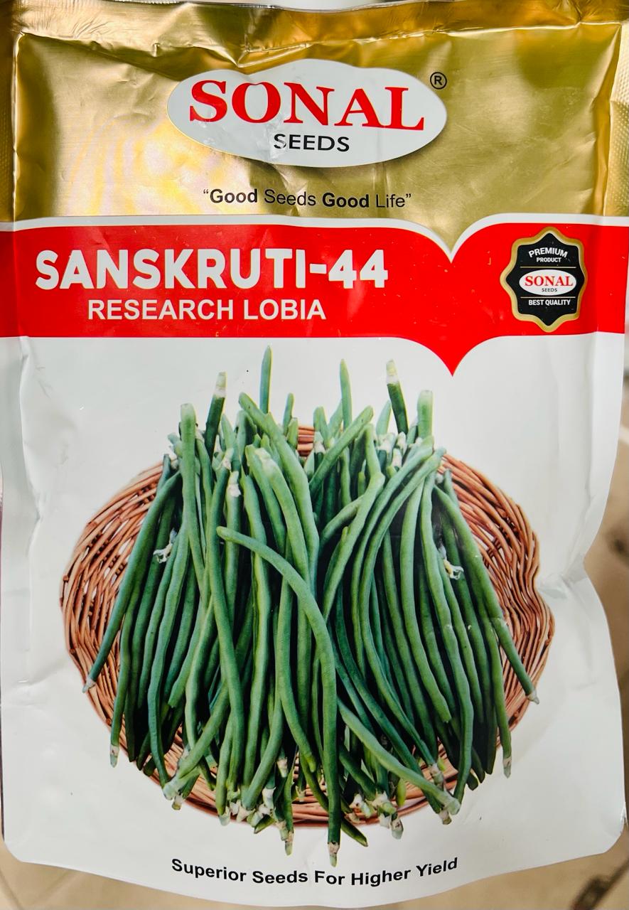 Cowpea Sanskruti 44 (Sonal Seeds)