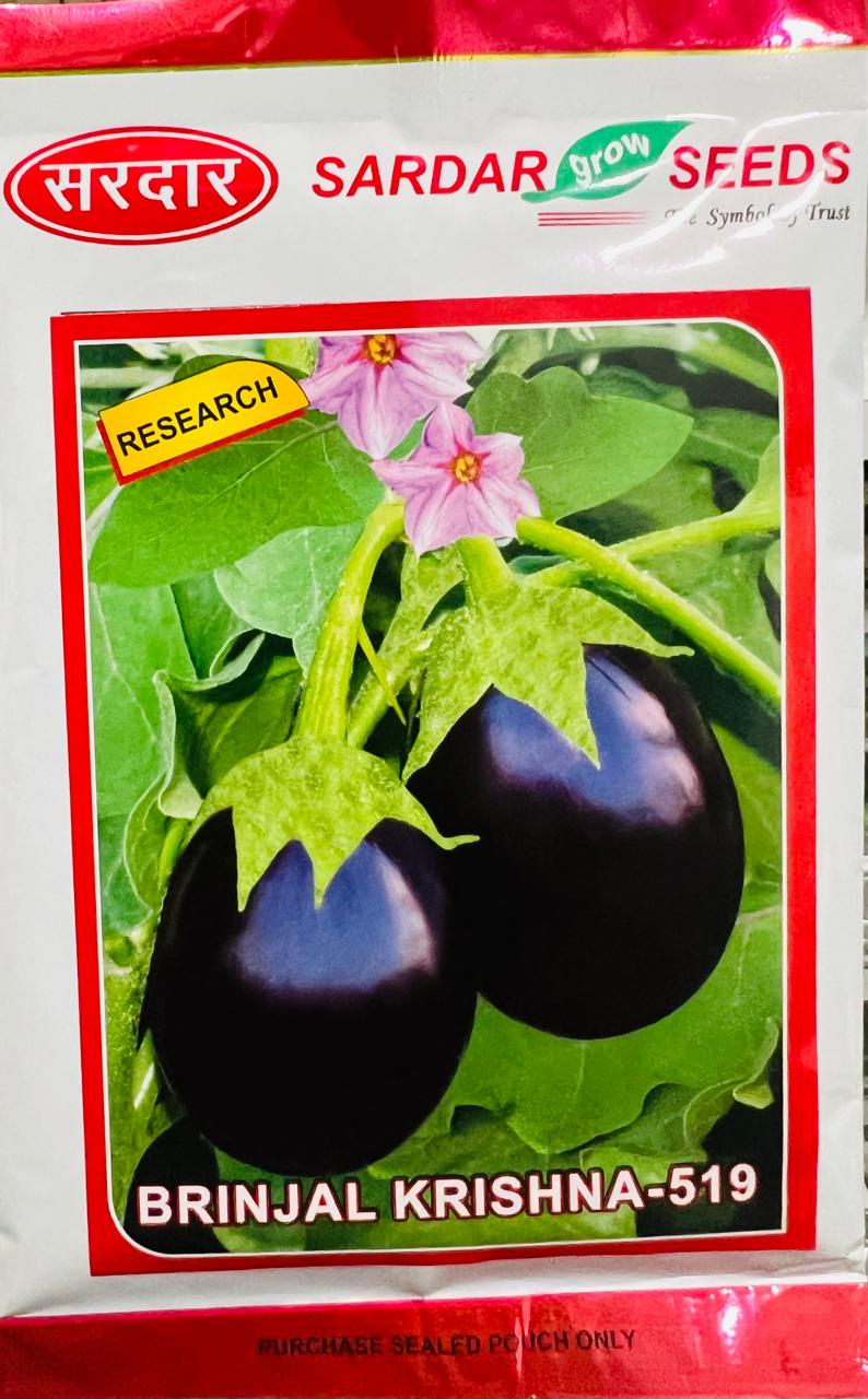 Brinjal Krishna-519 (Sardar Seeds)