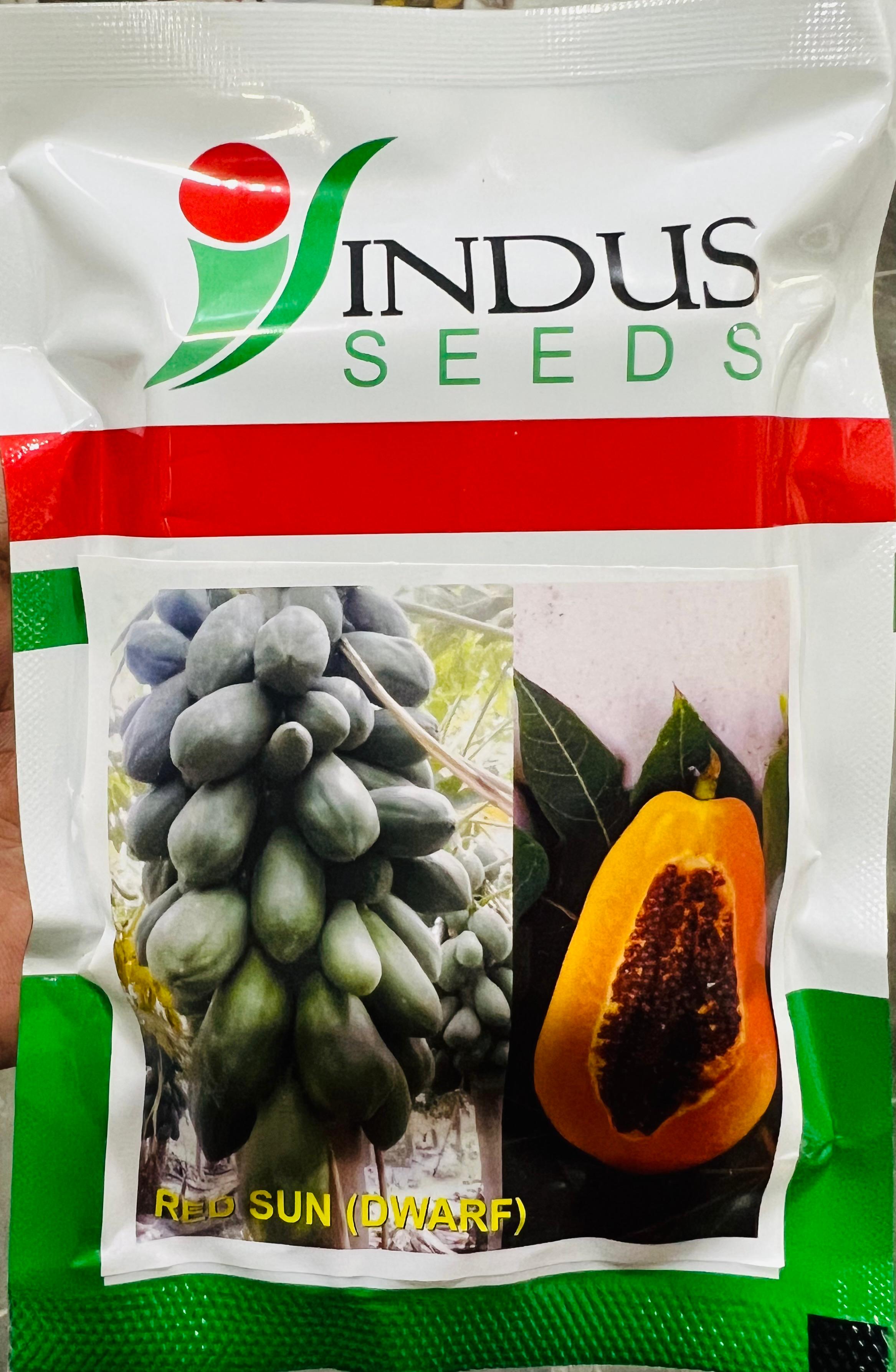 Papaya Red Sun Dwarf (Indus Seeds)