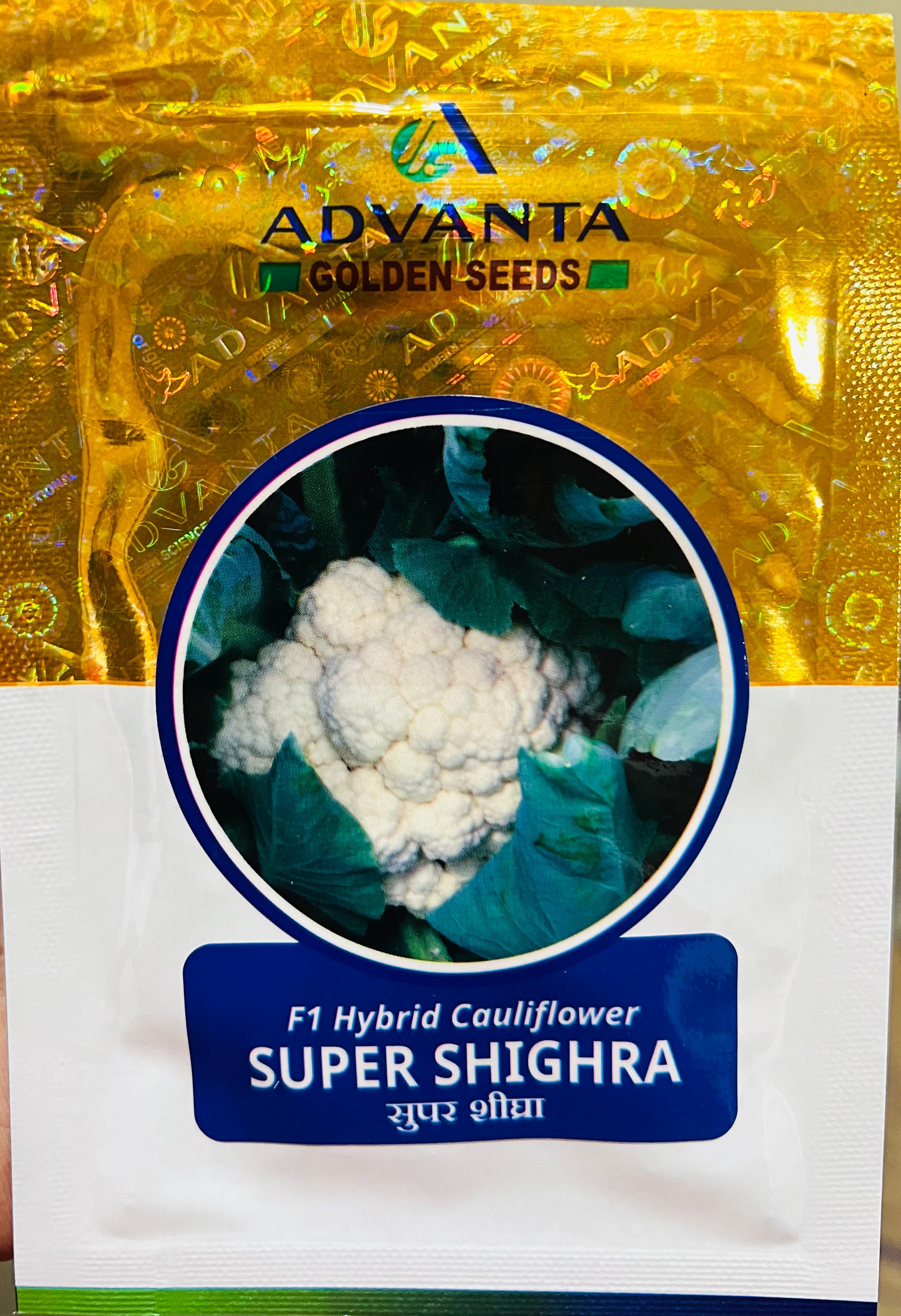 Cauliflower Super Shigra (Advanta Golden Seeds)