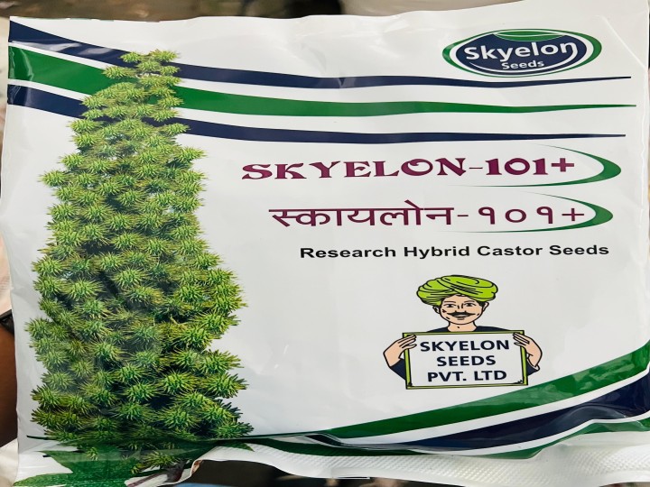 Castor Skyelon 101+ (Skyelon Seeds)