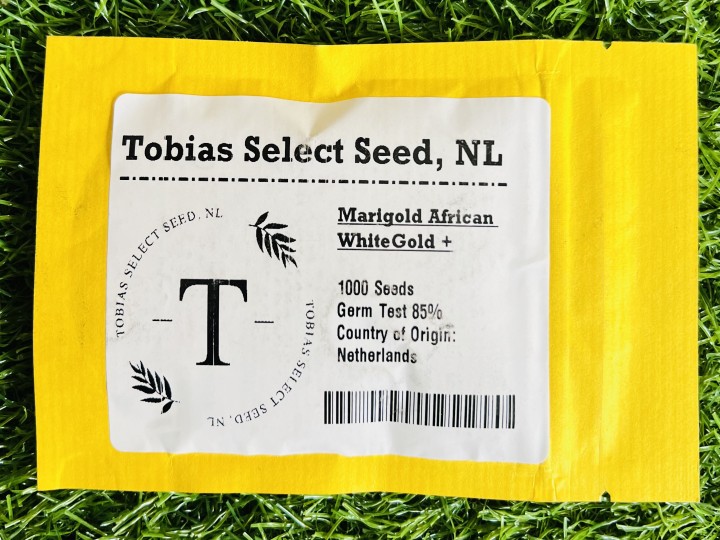 African Marigold White Gold+ (Tobias Select Seed)