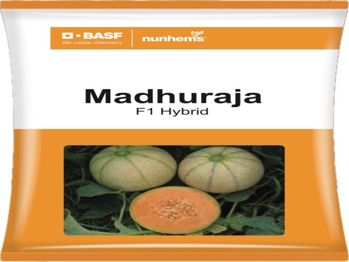 Muskmelon Madhuraja Hybrid (Numhems Seeds)